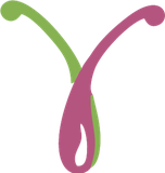 Logo de Centro Médico Vitae